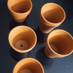 Plants Pots , And Decorative Waterer