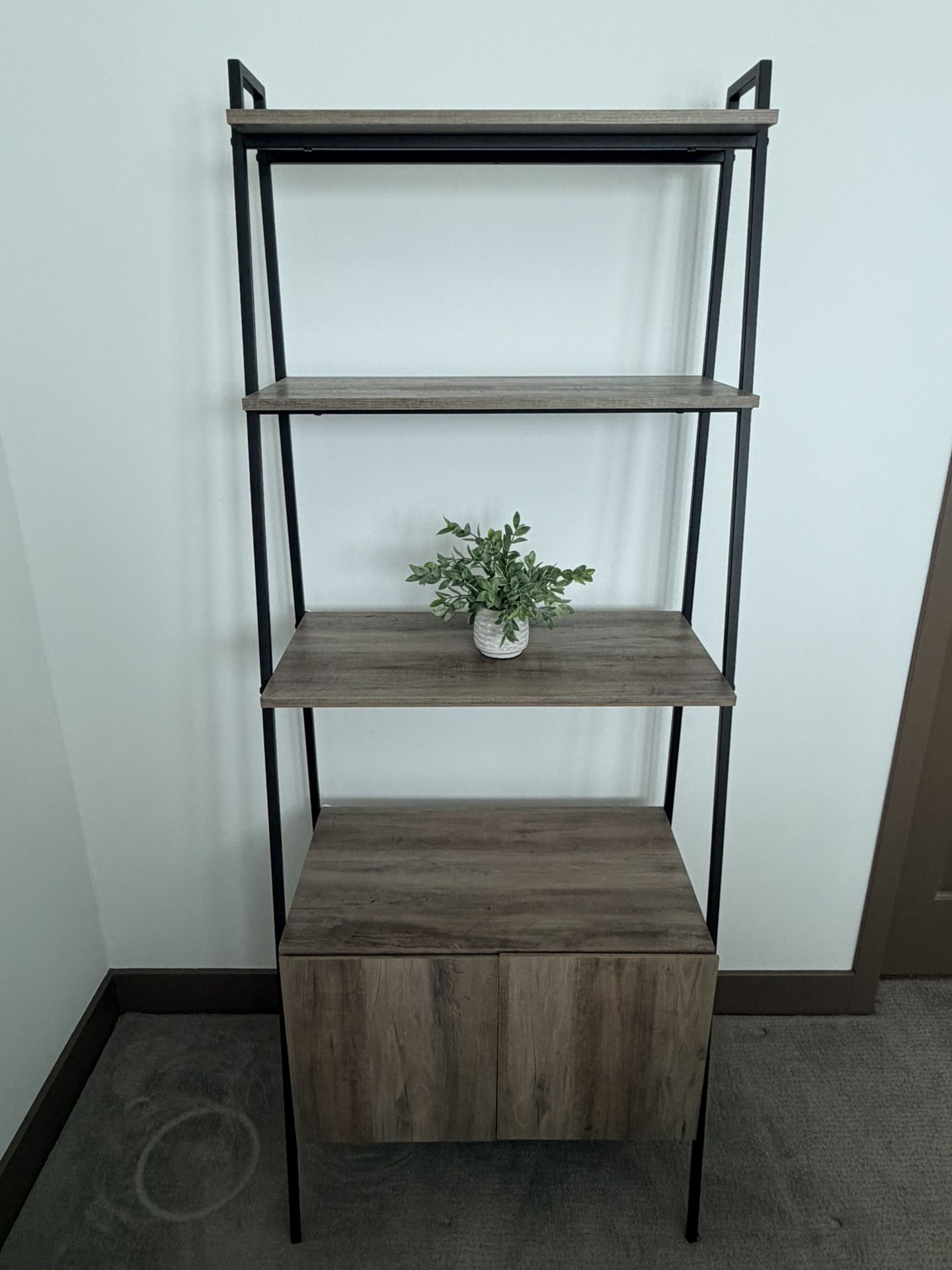 Ladder Bookcase