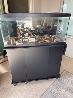 40 Gallon Aquarium with Stand