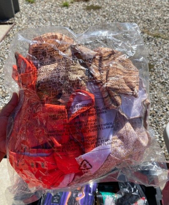 Disney Moana Halloween Costume Size 4t