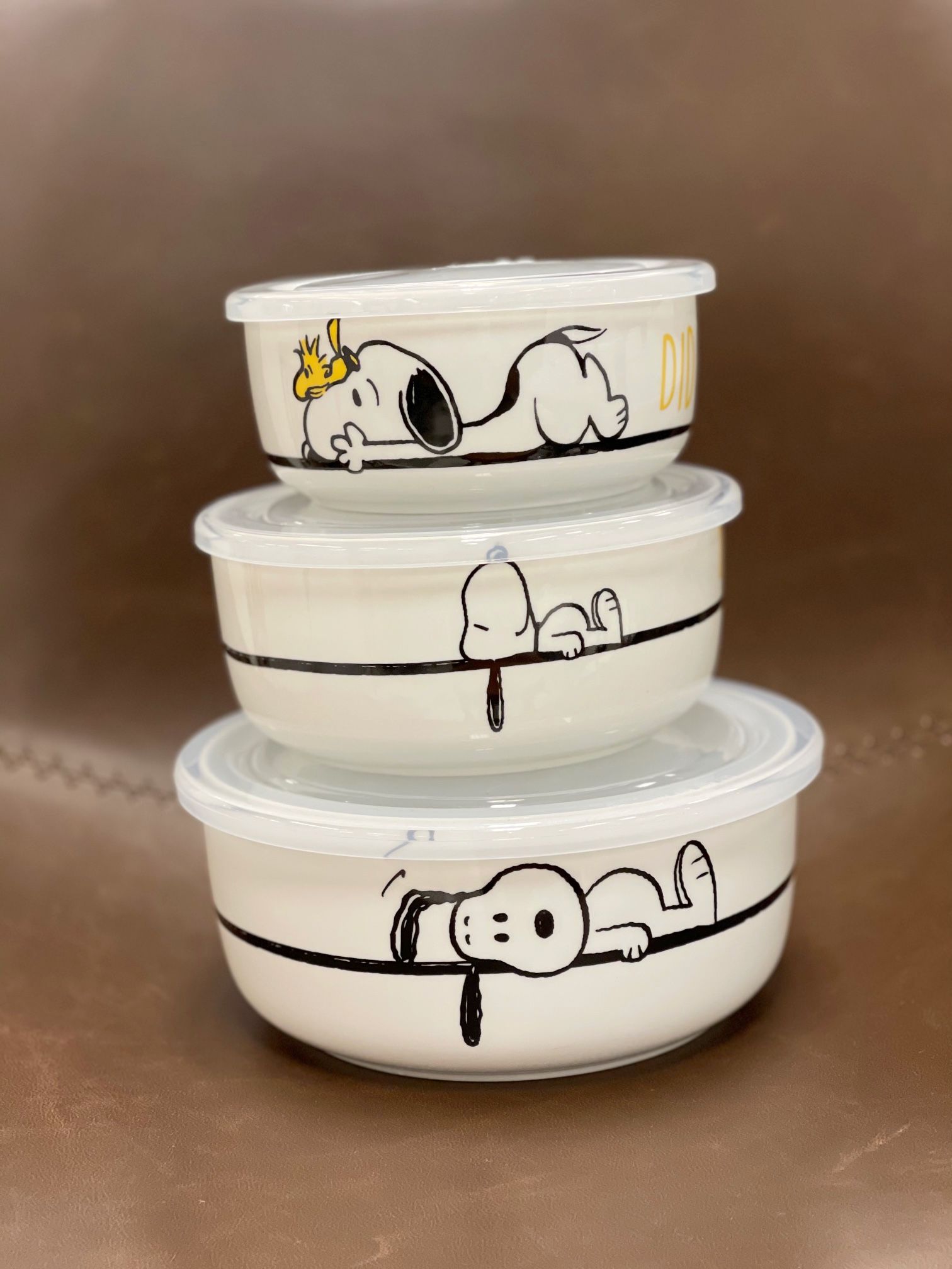 Peanuts Snoopy Charlie Brown Ceramic Food container Covered Bowls