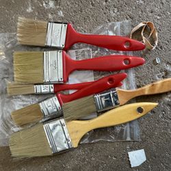 Paint Brushes - Assorted Sizes