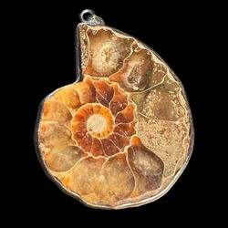 Ammonite Shell Necklace Charm