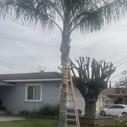 Clean Up And Wash More