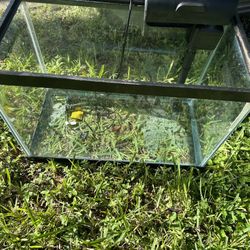 20 Gallon Fish Tank With Filter And Heater 