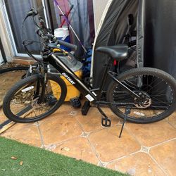 Electric Bike