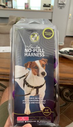 No pull harness and leash