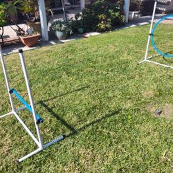 Dog Agility Set