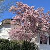 Wydade Casa