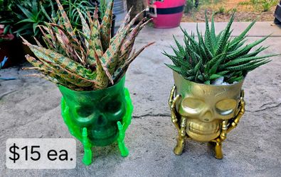 Plants 4 Sale!!