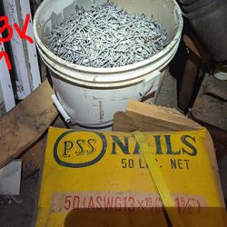 50 Lb Of Sheetrock Nails  1 And 5/8