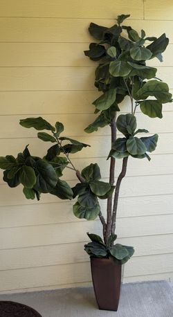 Artificial Fig Tree