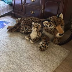 Stuffed Animal 