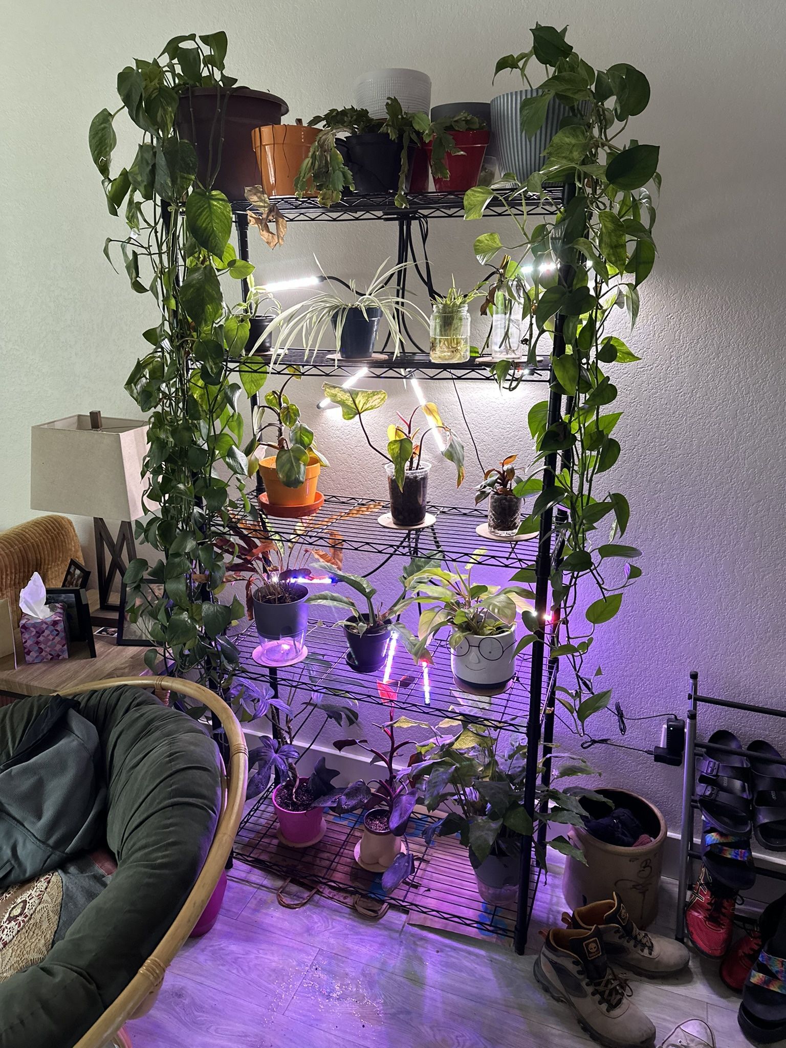5 Tier Plant Shelf With Grow Lights