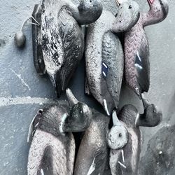 Decoy Ducks For Hunting