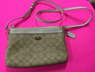 Coach bag with removable cash bag f52657