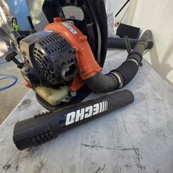 Echo Leaf Blower Model # PB-265L