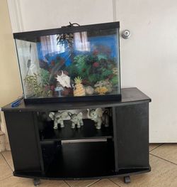 Vendo Esta Pecera Completa accesorios No incluidos La Mesa Cuenta Con Llantitas Para Facilitar La Limpieza Capacidad De 40 Galones