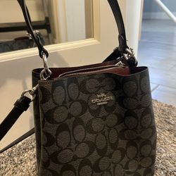Coach Small Town Bucket Bag