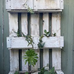 Pallet Planter With Succulent Plants