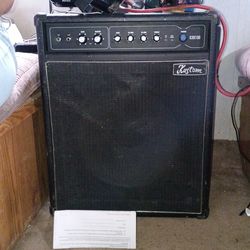 Kustom amp speaker