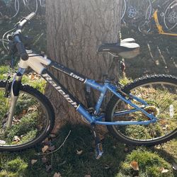 Adult Mountain Bikes