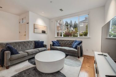 Gray couch