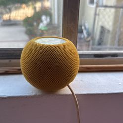 Apple homepod With 2 Smart Lights