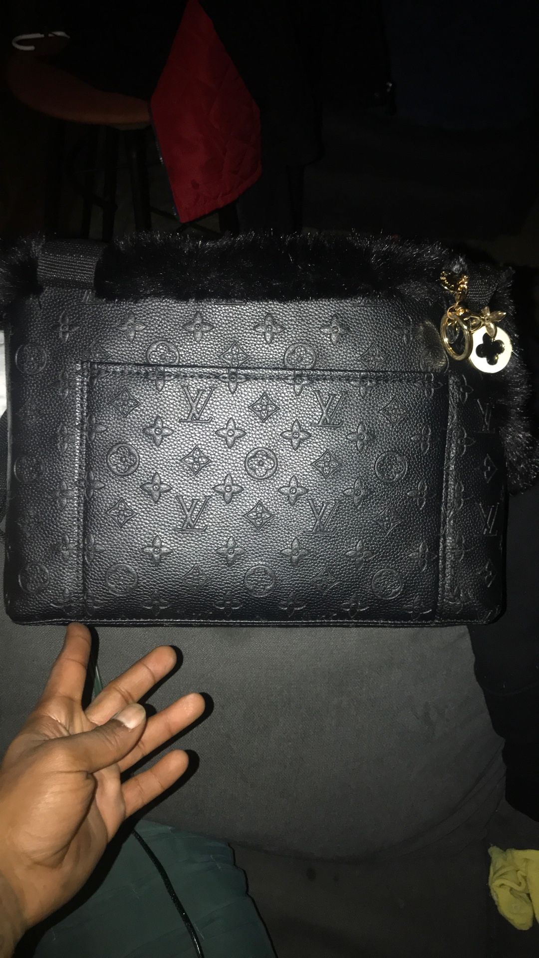 Authentic Louis Vuitton Dog Carrier Tote