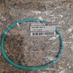 Nissan fuel pump oring