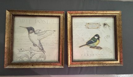 Bird pictures in frames