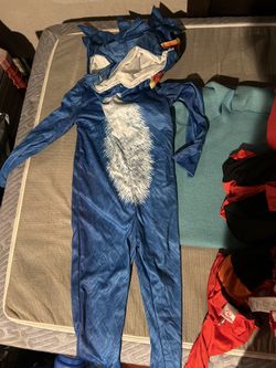 Sonic Costume 