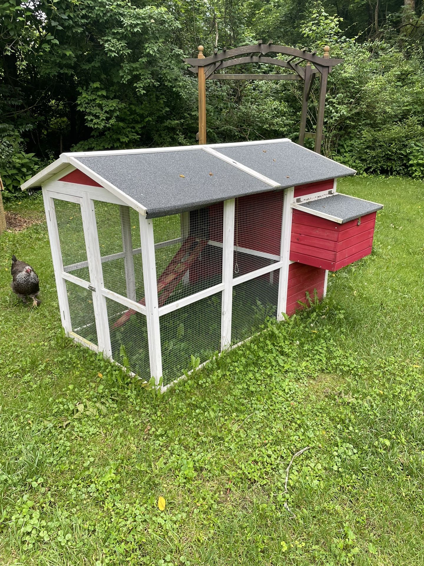 Chicken Coop