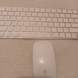 Apple keyboard and mouse rechargeable
