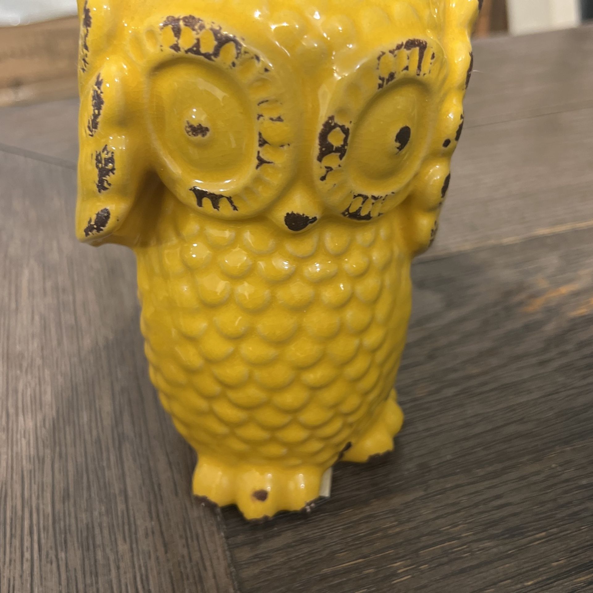 3 Owl Decor