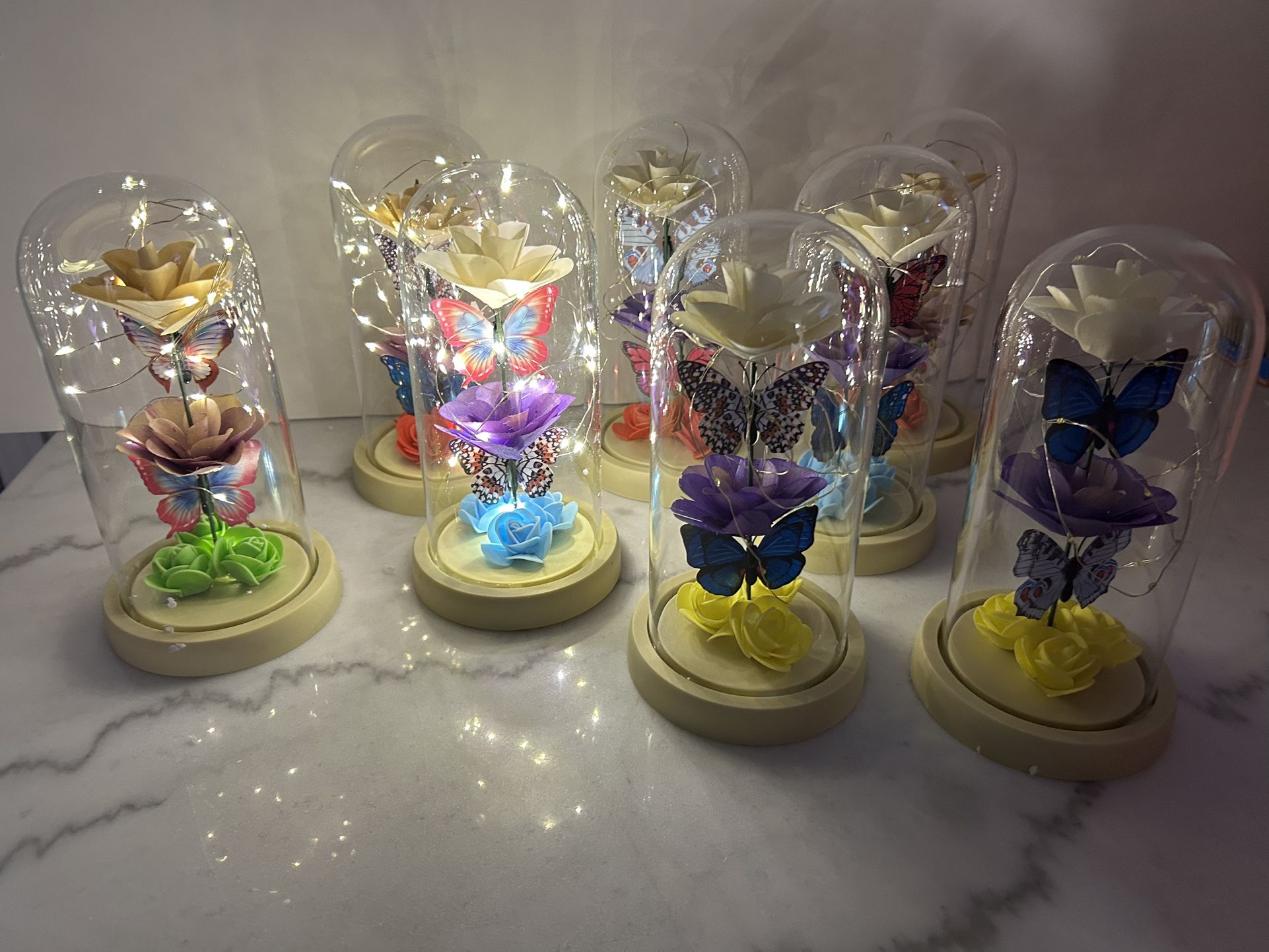 Roses, Butter, Butterflies, In Glass Dorm