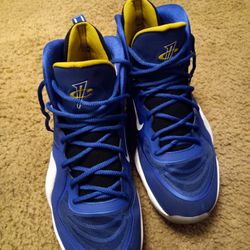 penny hardaway blue chips shoes