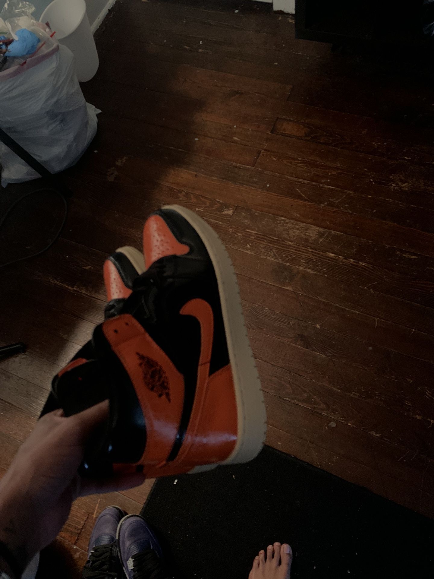 shatter back boards