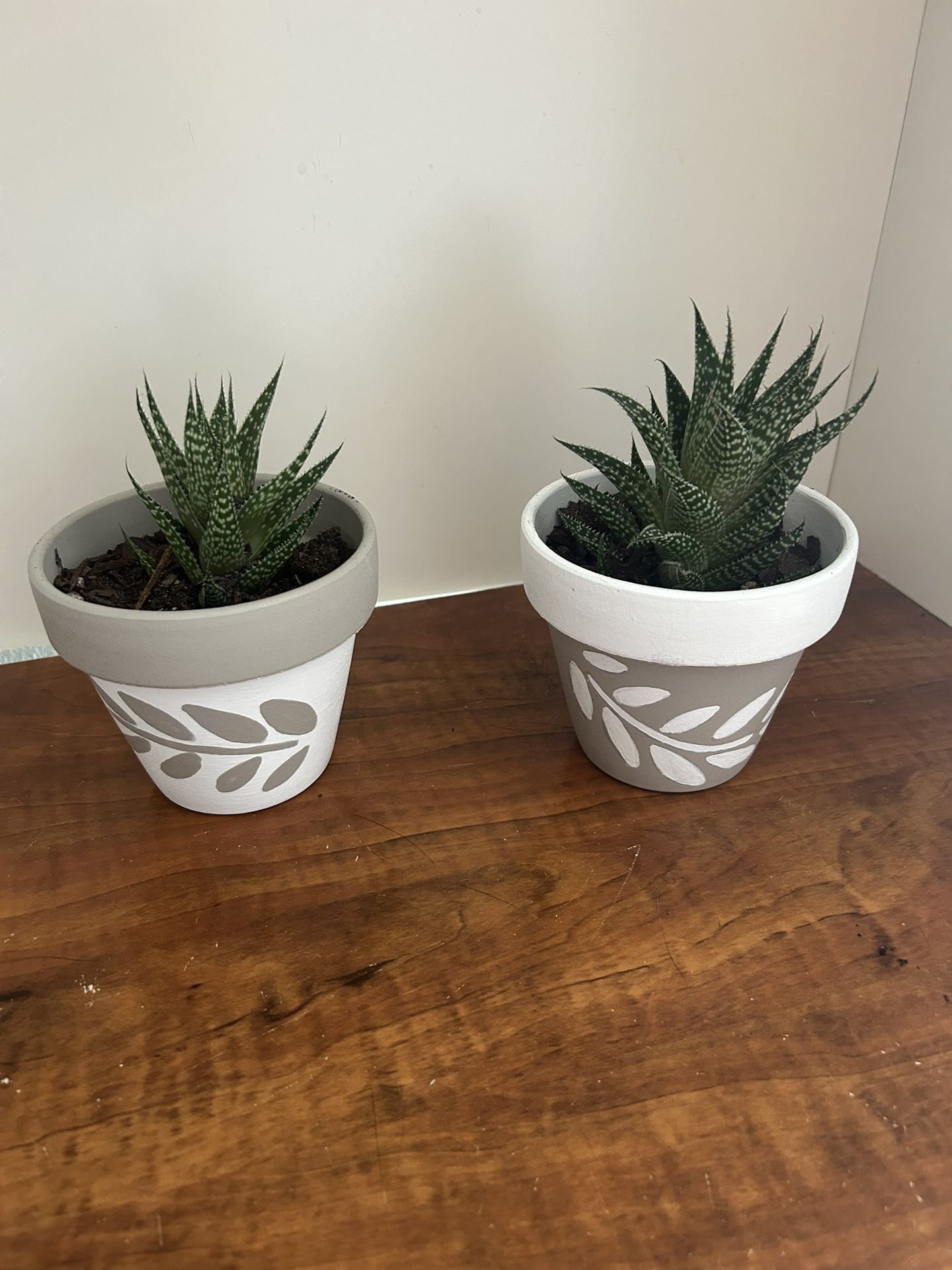 Beige And White Pots With Live Plants