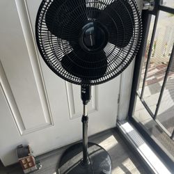 Fan
