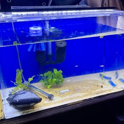 21.6 Gallon Acrylic Aquarium Fish Tank - Tank Only!