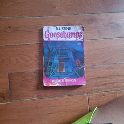 Welcome To Dead House Goosebumps Book 