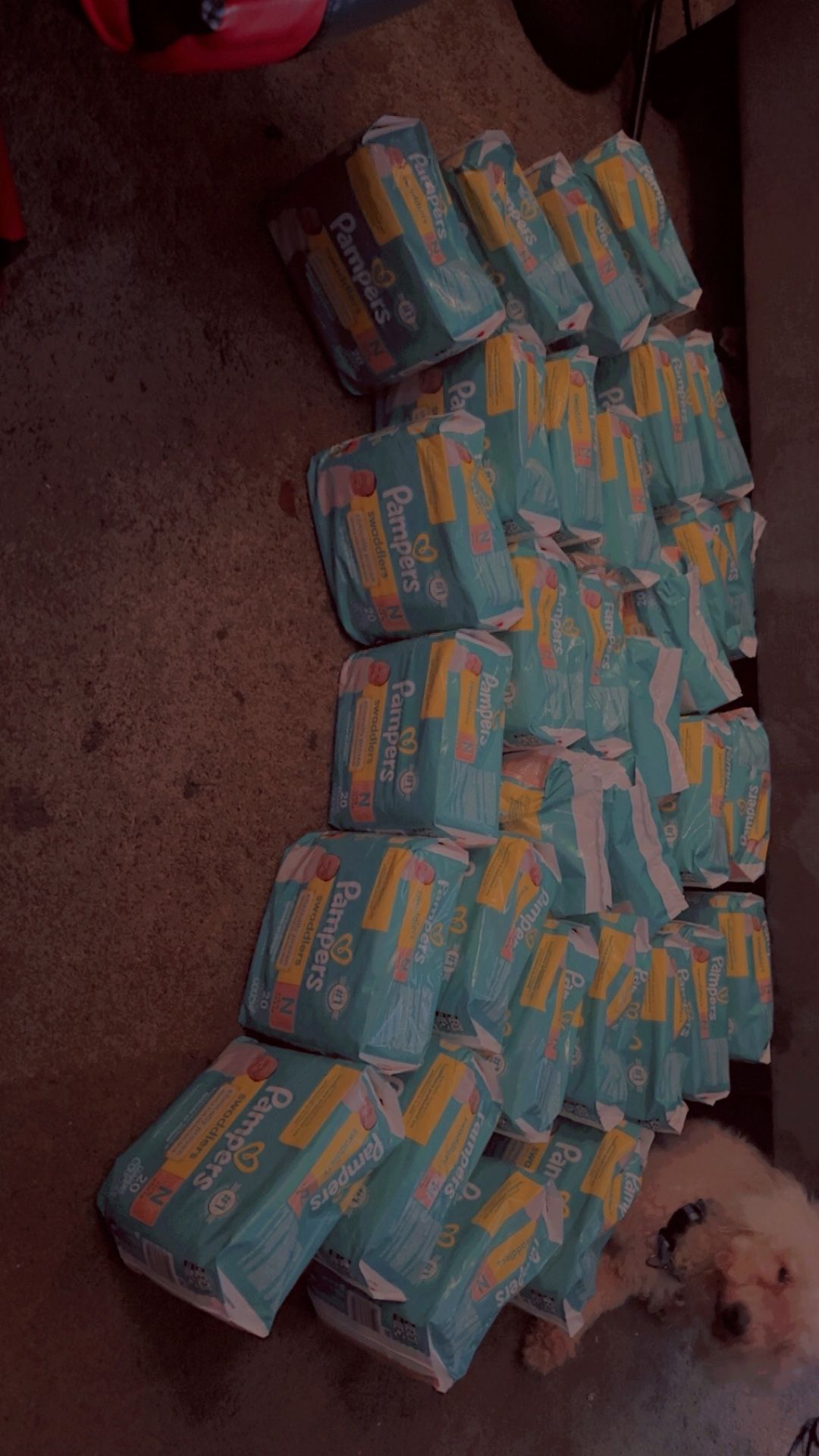 Pampers Newborn Diapers