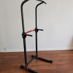 Stand Alone Chin Up Bars 
