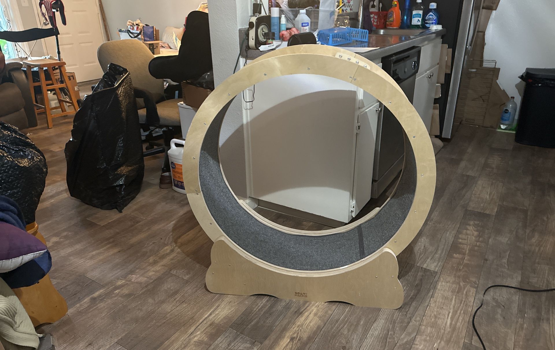 CAT TREADMILL