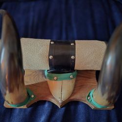 Authentic Steer Horns