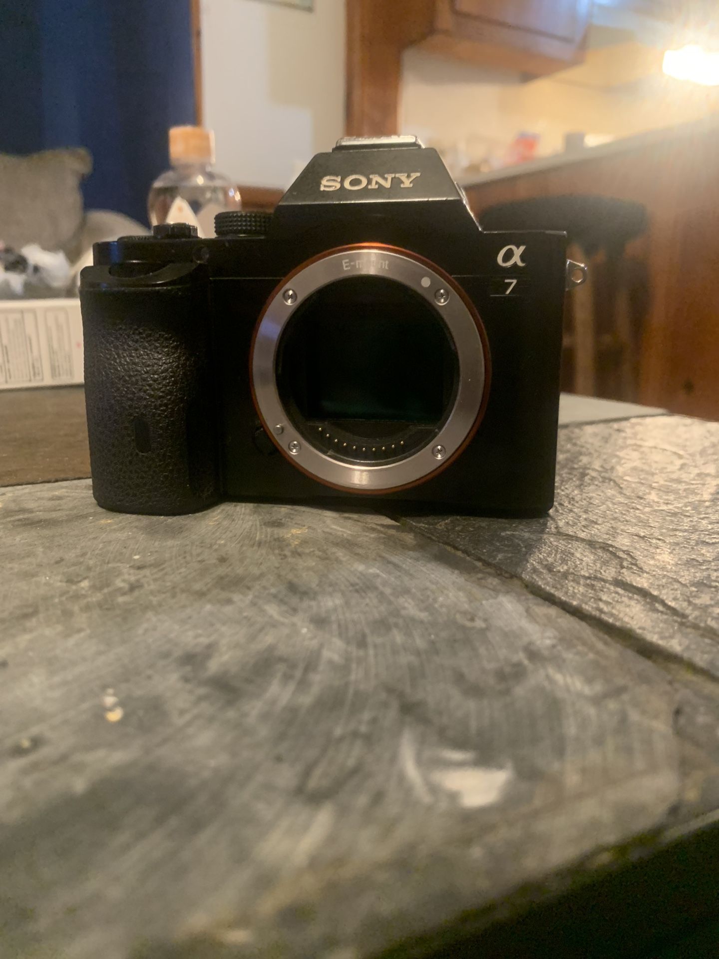 Sony A7 Camera 