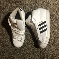 Adidas Pro Model