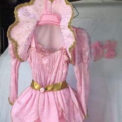 Princess Costume Like New