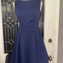 Blue Navy Dress
